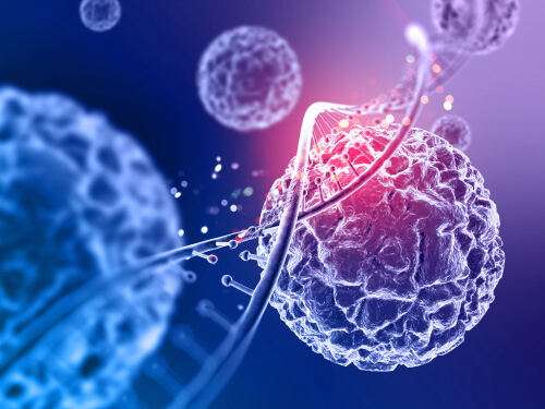 porque los virus son organismos acelulares porque los virus son organismos acelulares