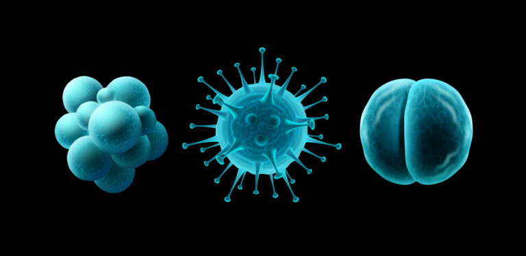 El océano contiene al menos 200 000 nuevos tipos de virus distintos, según la ciencia