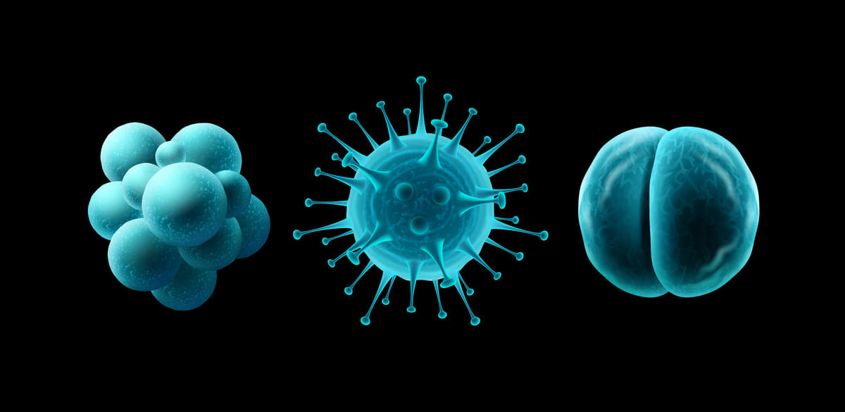 foto de virus y bacterias.