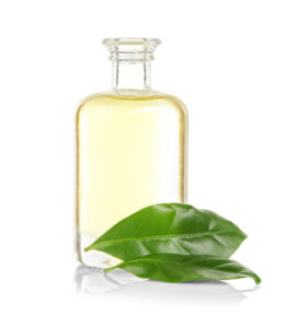 Por qué restringir el aceite del árbol del té en las mascotas
