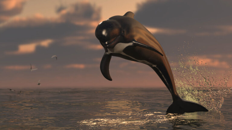 9 datos curiosos de la ballena piloto
