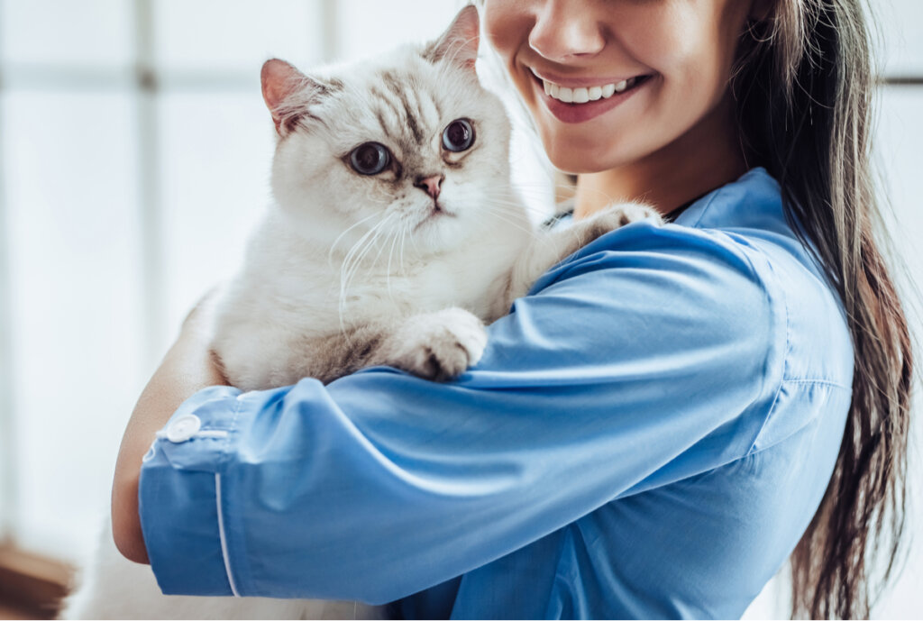 Acromegalia en gatos: síntomas y tratamientos