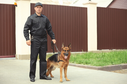 Legalidad sobre los perros de guarda y protección