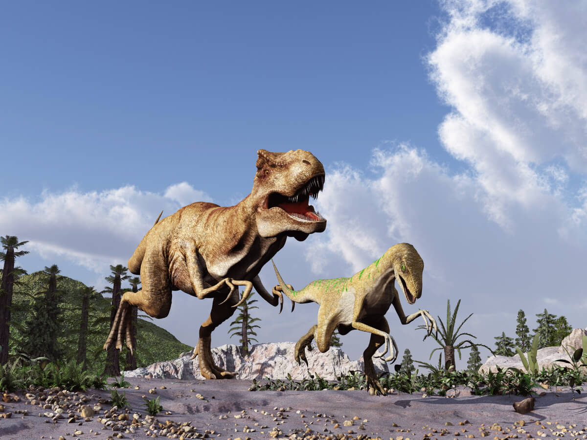 Un dinosaurio cazando un velocirraptor.