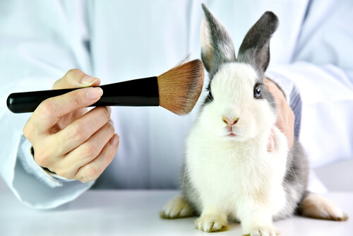 Los ensayos cosméticos en animales vulneran sus derechos.
