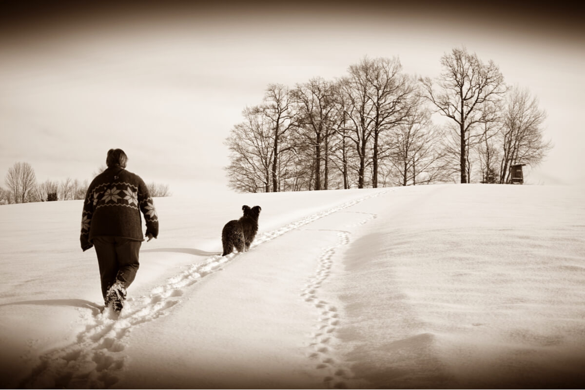 Una mujer y un perro caminan en la nieve.