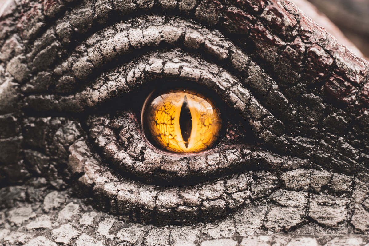 El ojo de un dinosaurio.