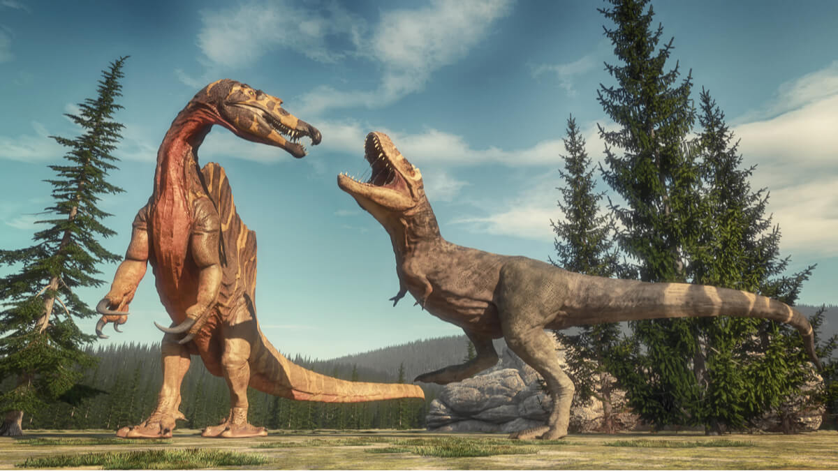 Una pelea entre dinosaurios.