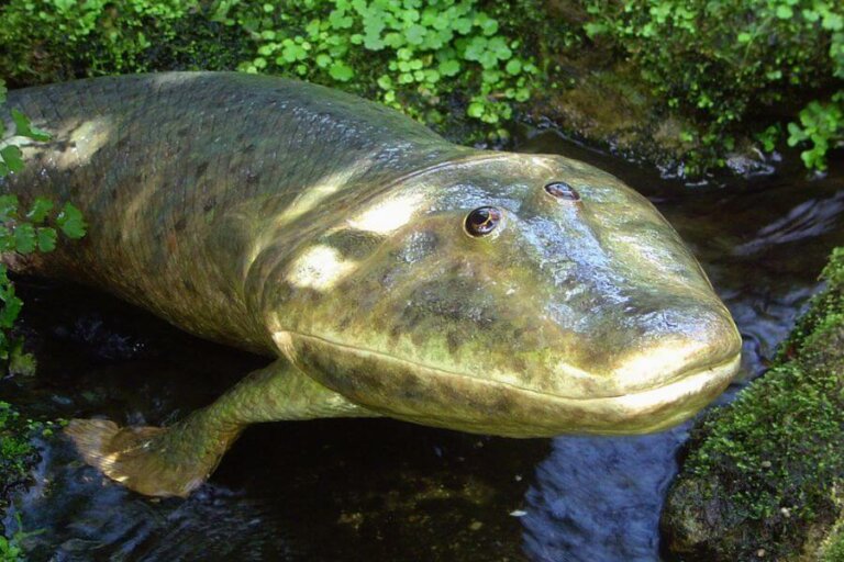 El primer animal en pisar la Tierra