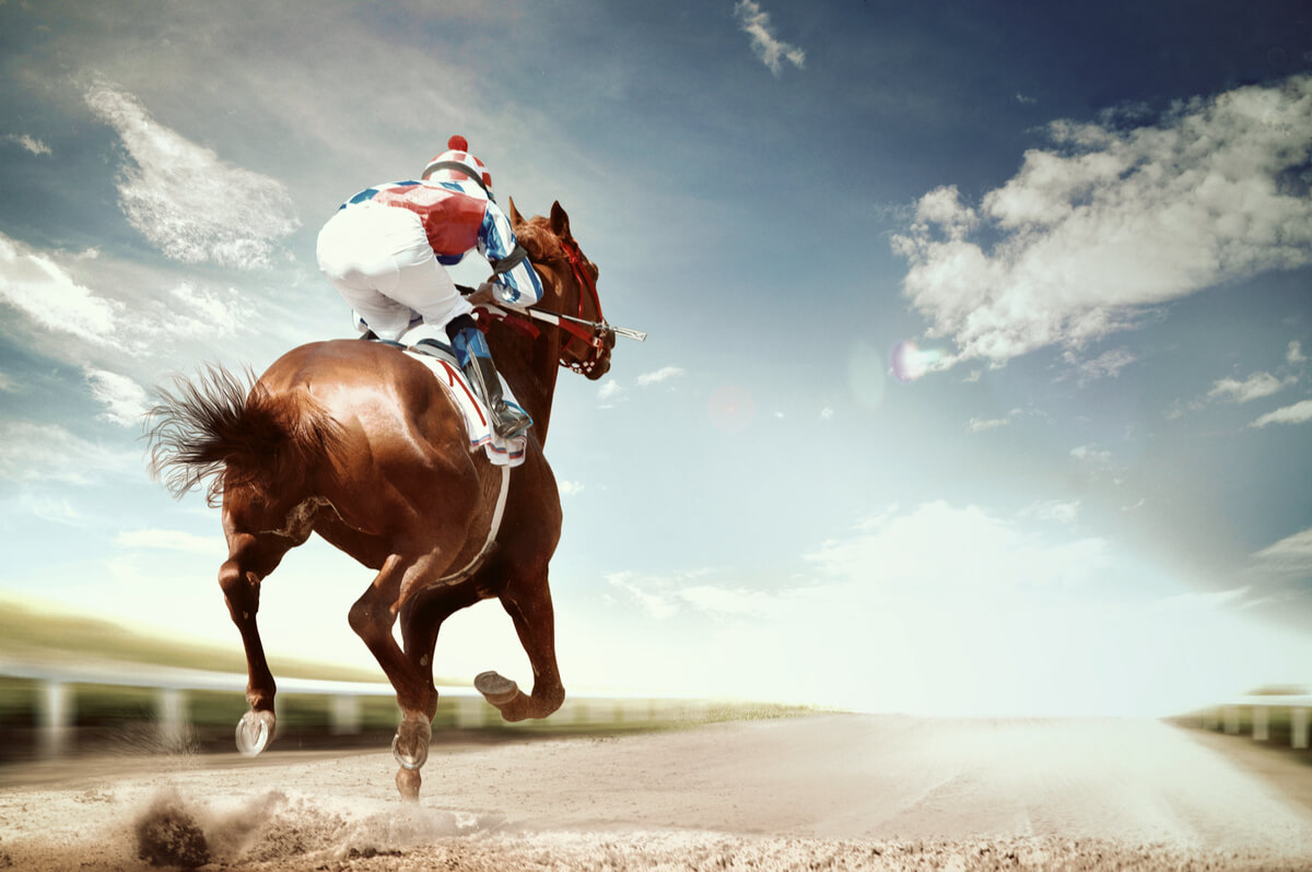 Las enfermedades más frecuentes en los caballos de competición