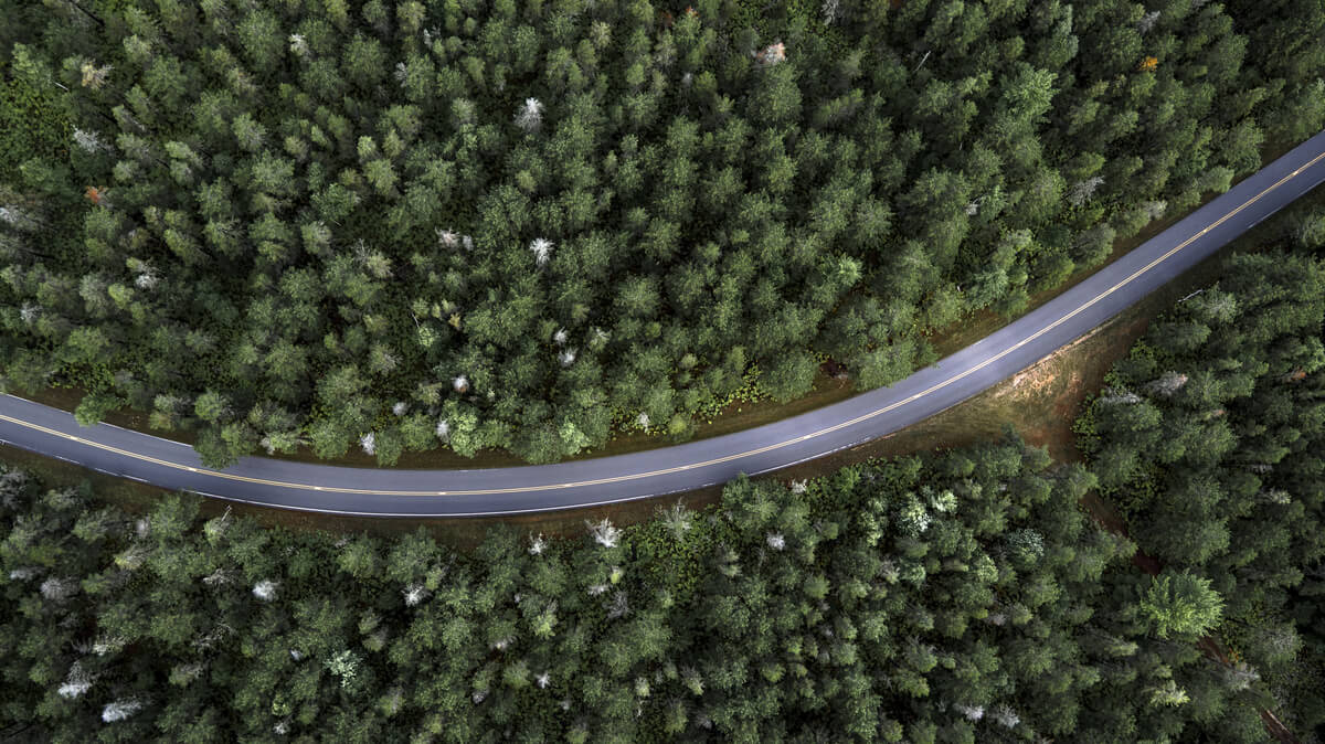 Una carretera en un bosque.