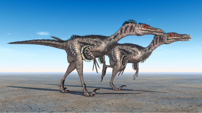 Velociraptor: características y curiosidades