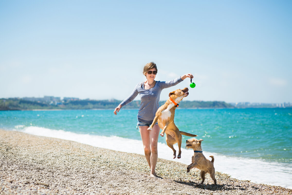 Una mujer jugando con sus perros en la playa.