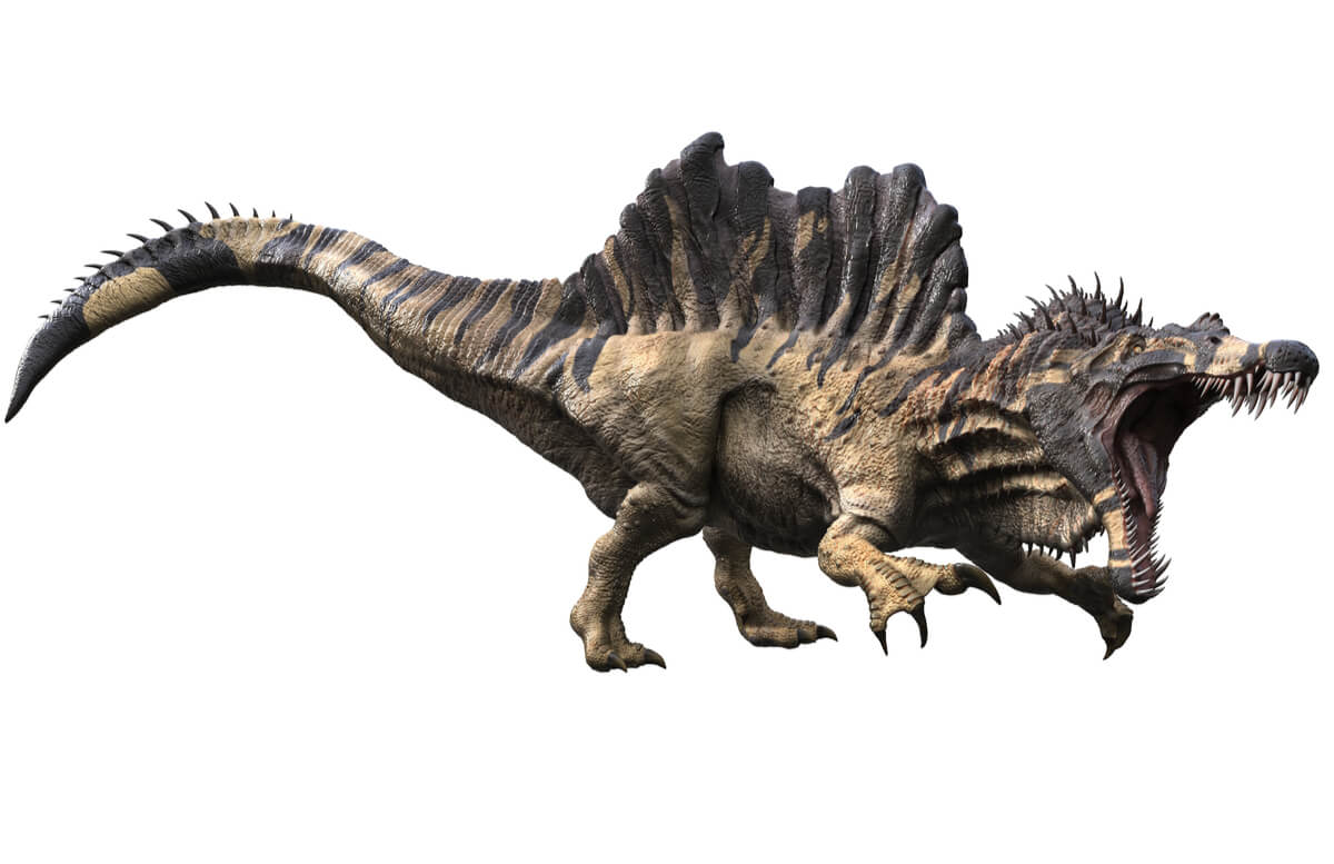 Un modelo de spinosaurus en pose de ataque.