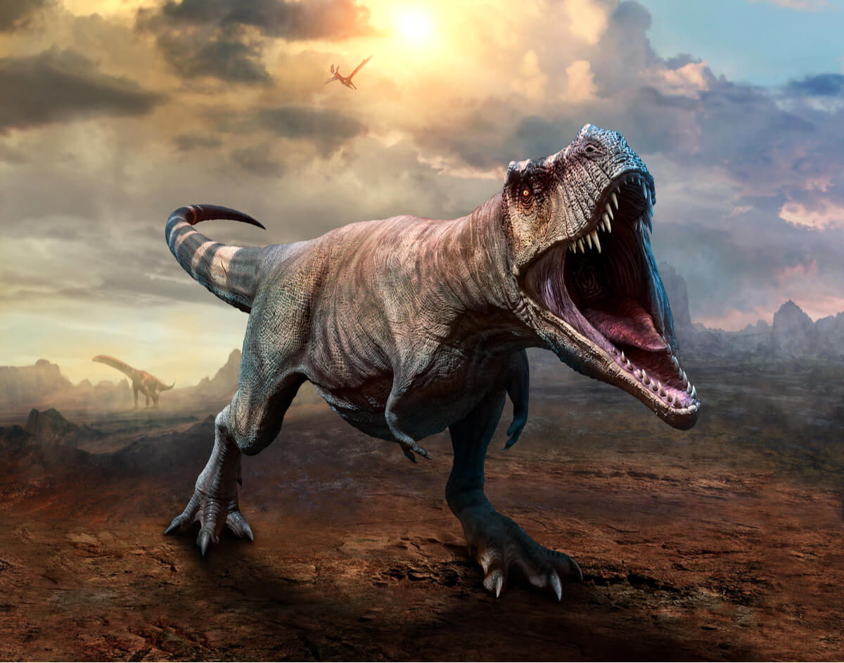 Los T-rex eran dinosaurios carnívoros.