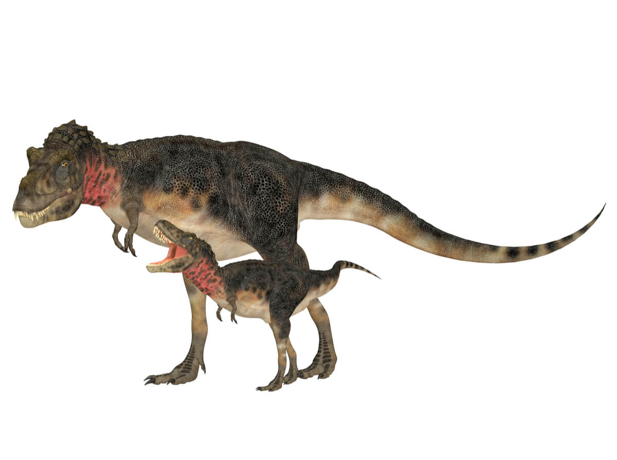 Un modelo de tarbosaurus.