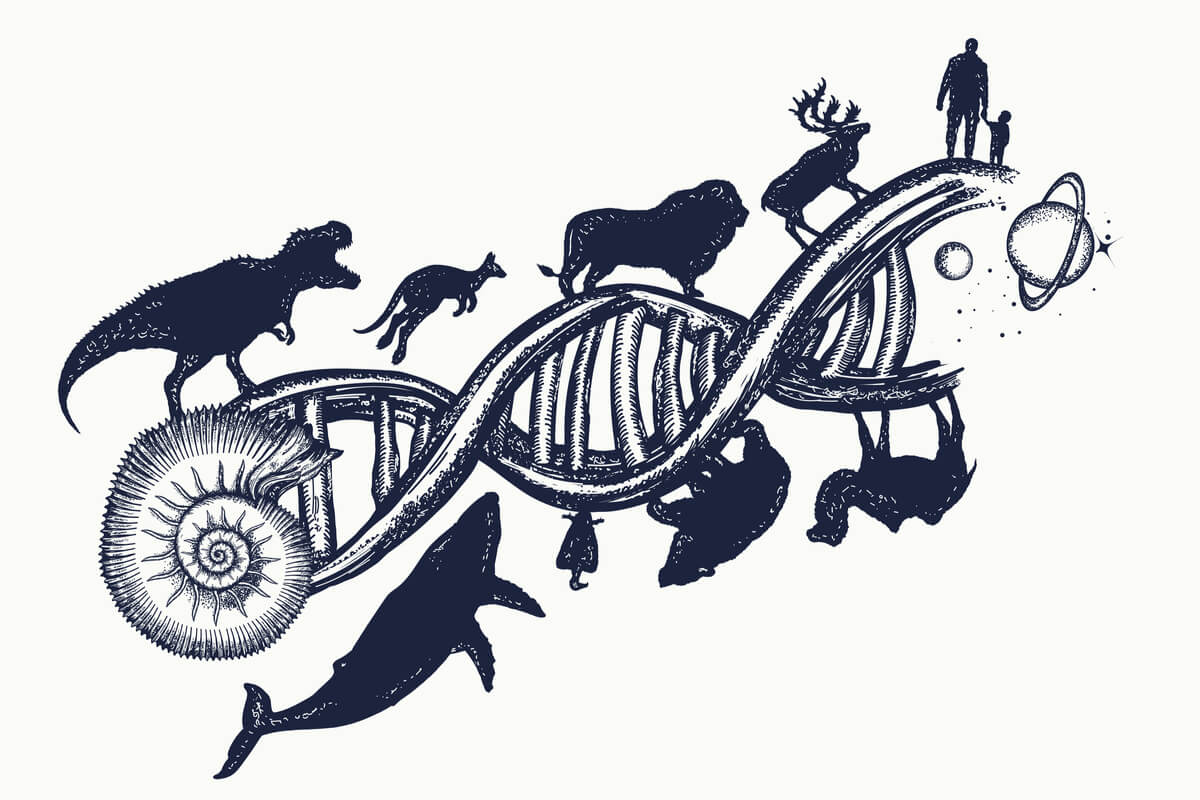 Una hebra de ADN que indica la evolución.
