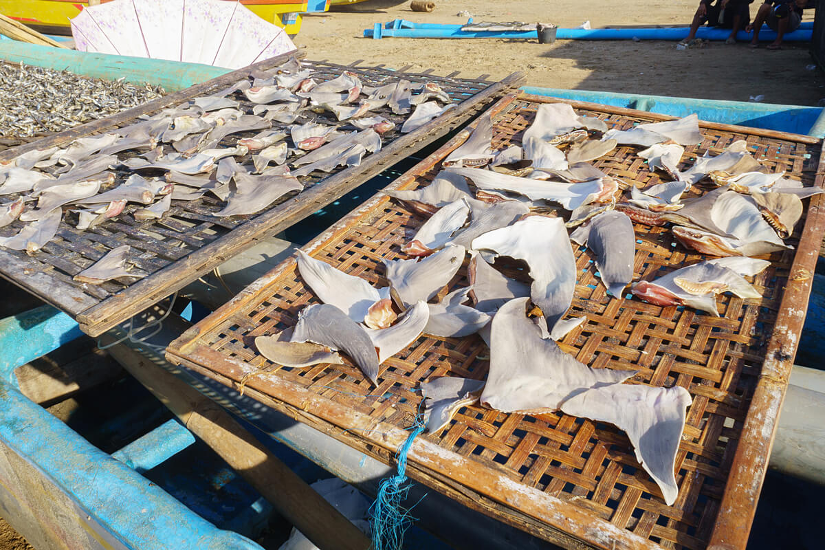 Unas aletas de tiburón en un mercado.