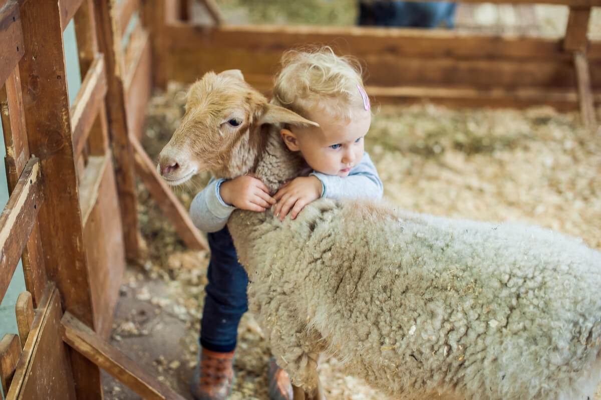 Un niño abrazando a una oveja.