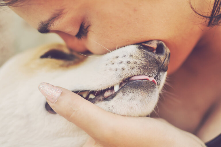 ¿Está bien besar a tus mascotas en la boca?