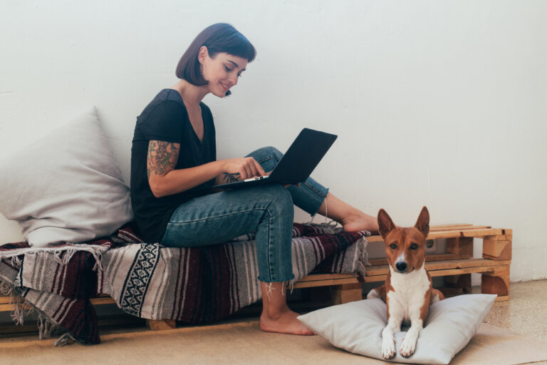 8 consejos útiles para ayudar a tu mascota a confrontar un cambio de casa
