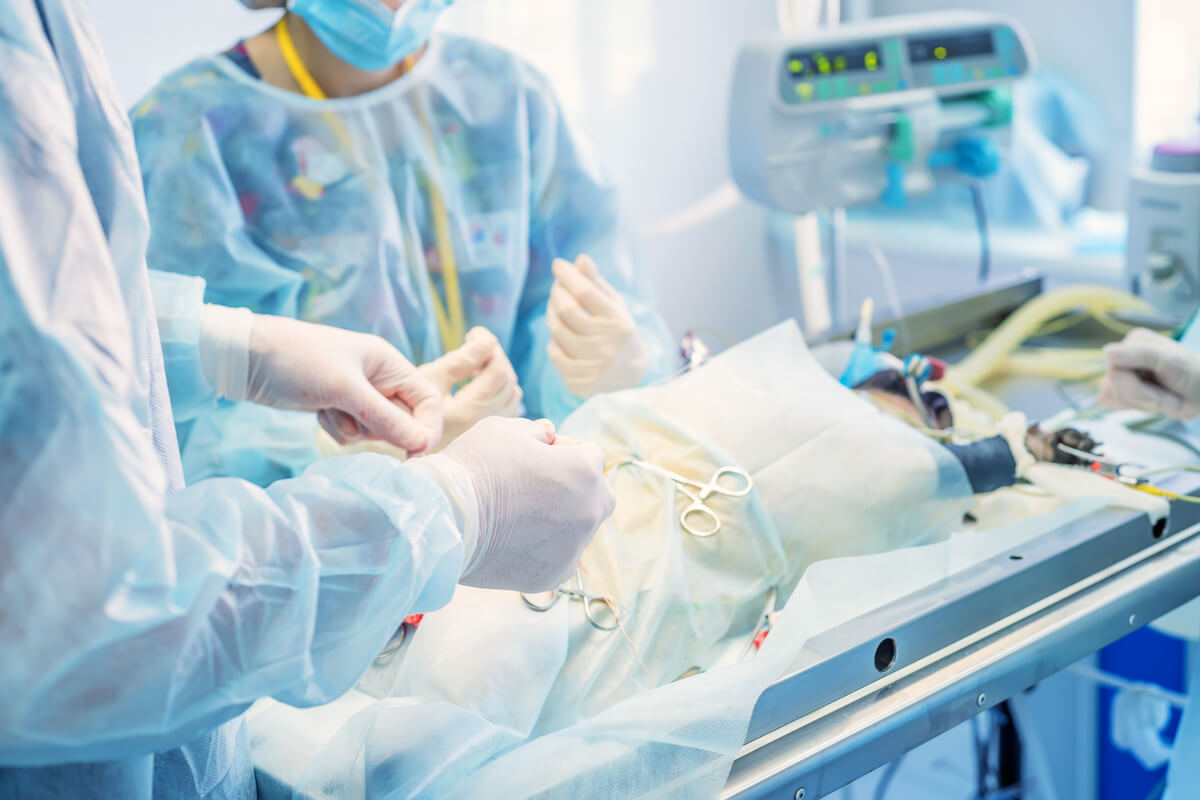 Cirugía en un perro.