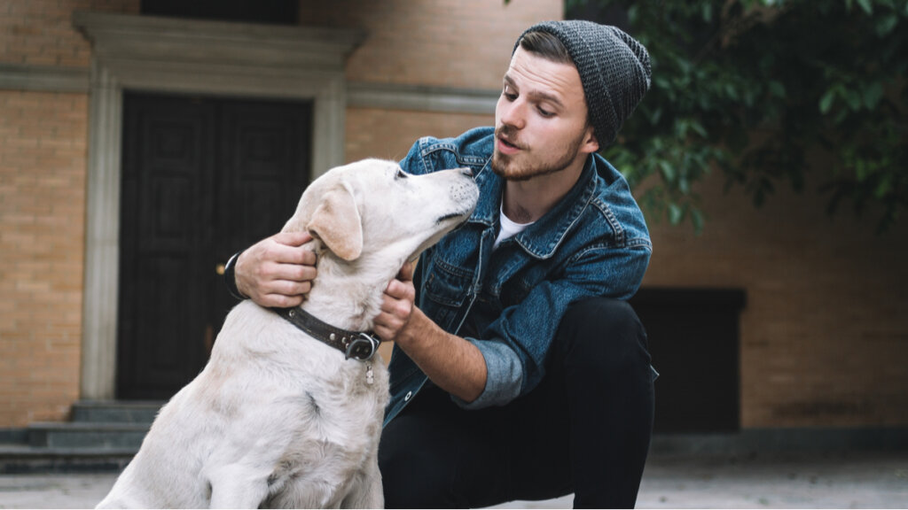 ¿Qué siente un perro cuando te mira?