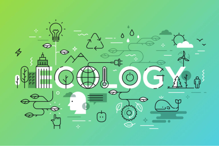 Autoecología y sinecología: diferencias y similitudes