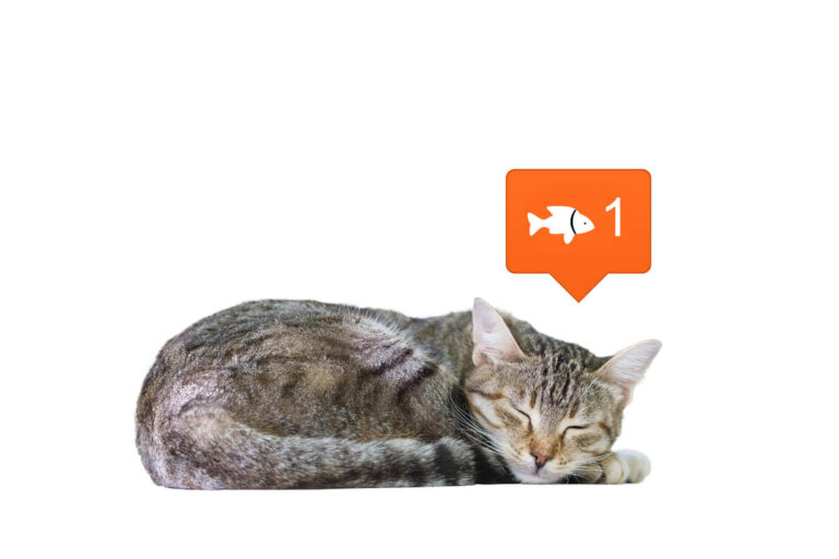 Las redes sociales cambian nuestra percepción sobre los animales