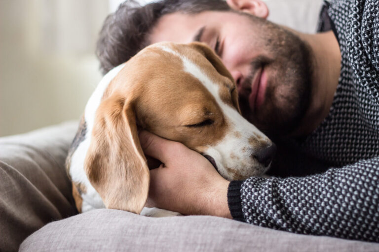 Nombres graciosos para perros