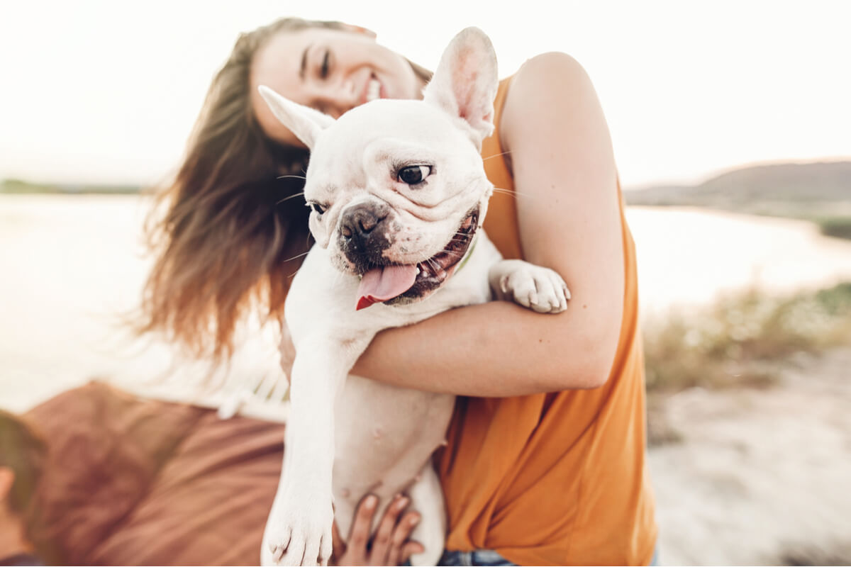 Un chien sur la plage avec son propriétaire.
