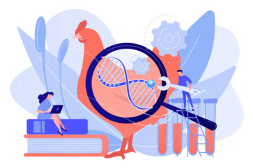 ¿Qué es la selección genética en animales domésticos?