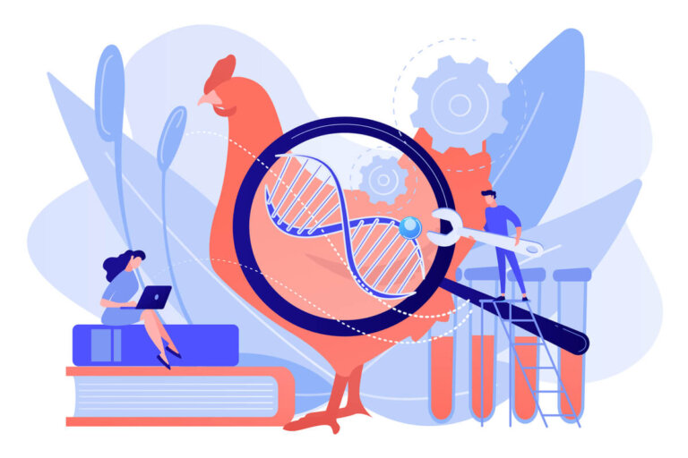 ¿Qué es la selección genética en animales domésticos?