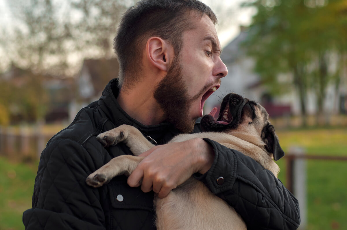 Votre chien a peur ?