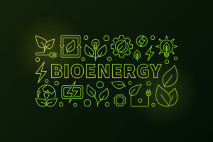 ¿Qué es la bioenergía?