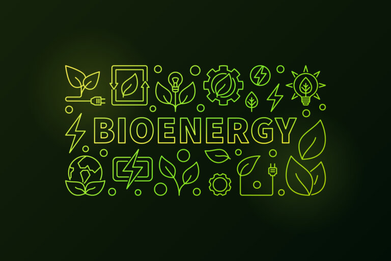 ¿Qué es la bioenergía?