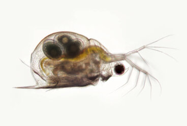 ¿Qué son los indicadores de impacto ambiental?