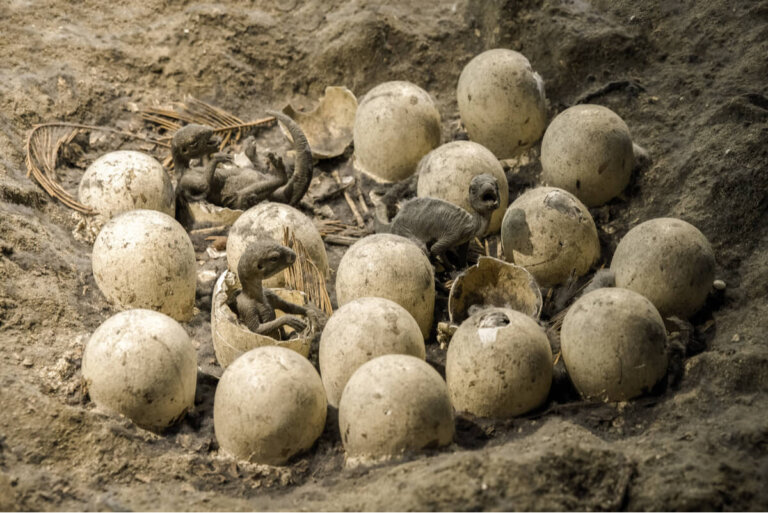 Huevos de dinosaurio: ¿qué sabemos de ellos?