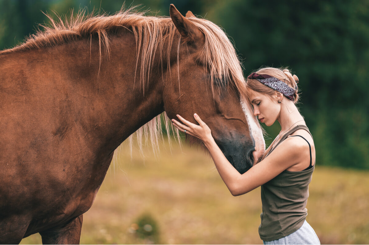 7 razas de caballos consideradas como las más hermosas