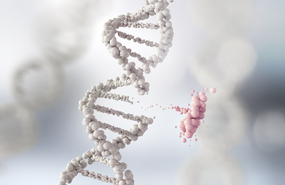Alternierende Fortpflanzung - Eine weiße DNA-Doppelhelix.
