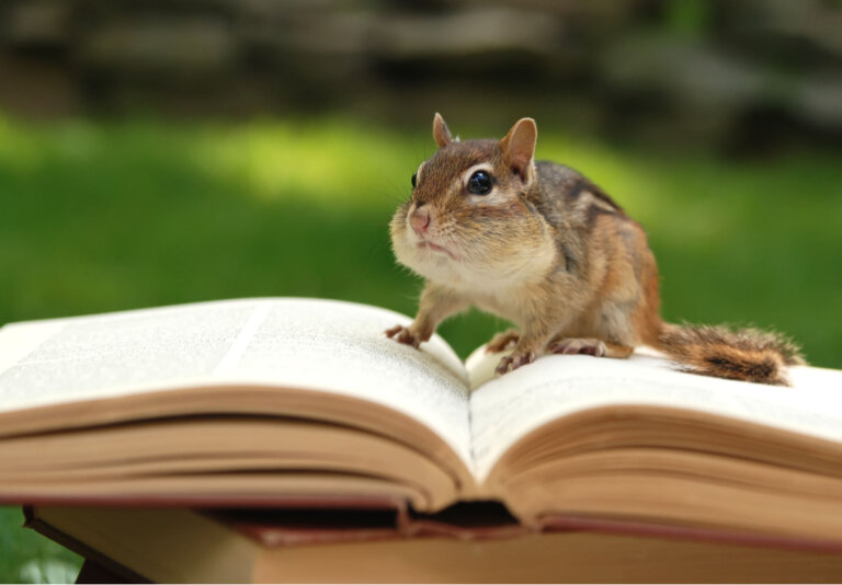 9 libros sobre zoología que debes leer
