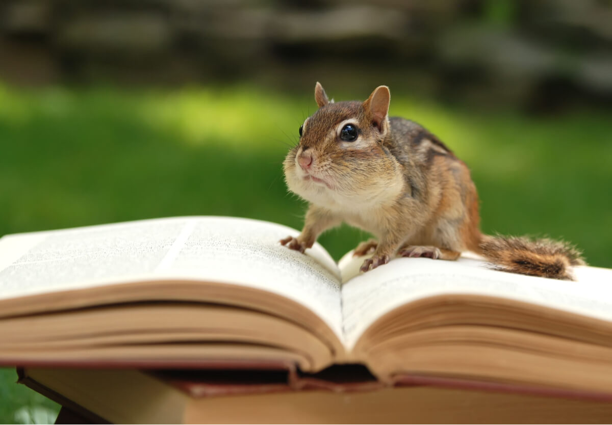 Libros sobre zoología.