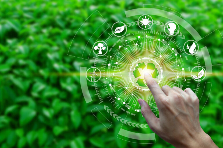 ¿Qué es la productividad en un ecosistema?