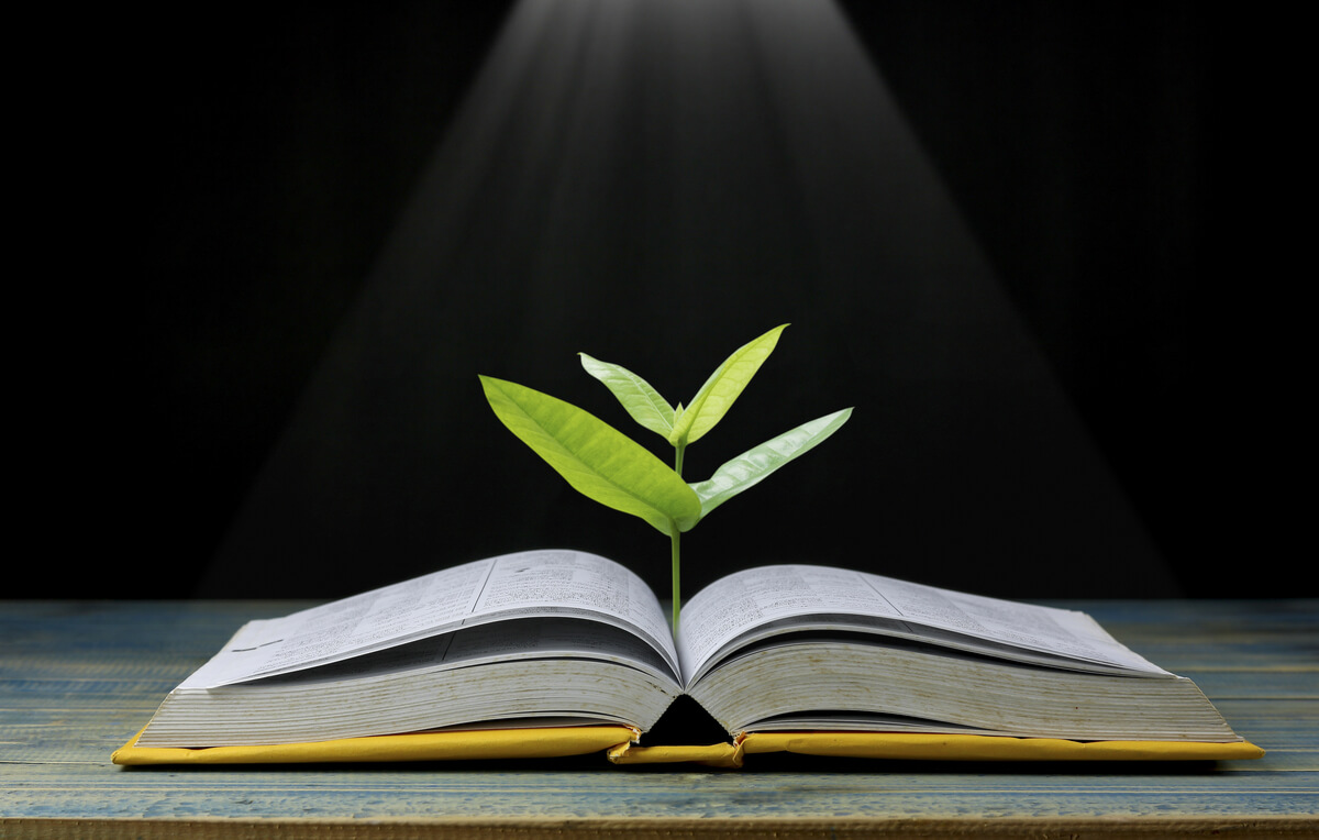 Una hierba crece de un libro.