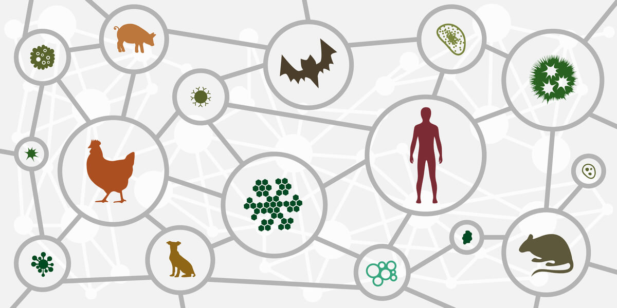 Un vector de ingeniería animal.