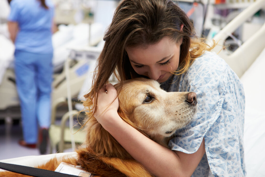 Los efectos de la terapia animal en el ser humano