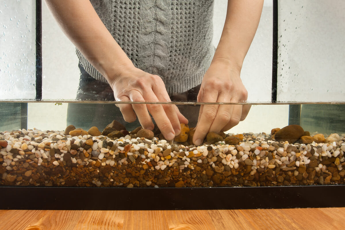 Un acuario con grava.