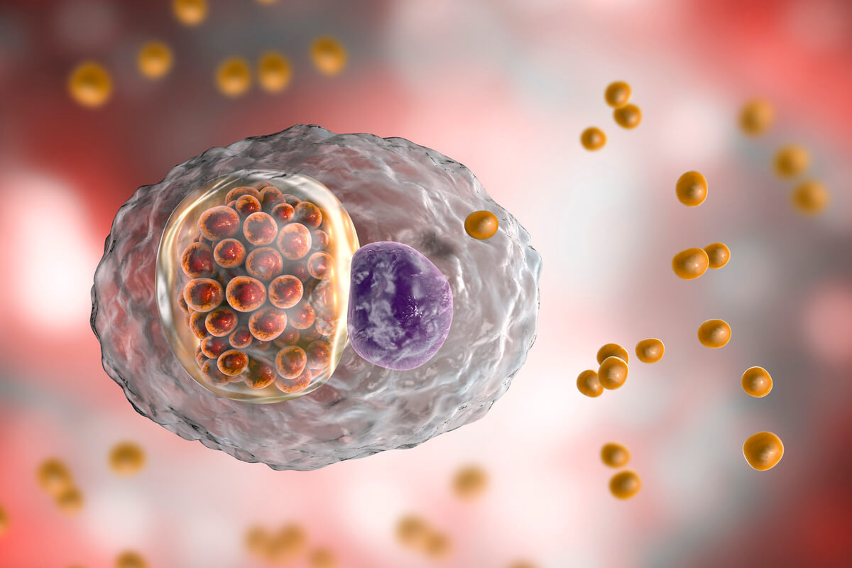 Una bacteria causante de la ornitosis invadiendo una célula.