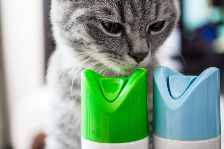 ¿Son los ambientadores peligrosos para las mascotas?
