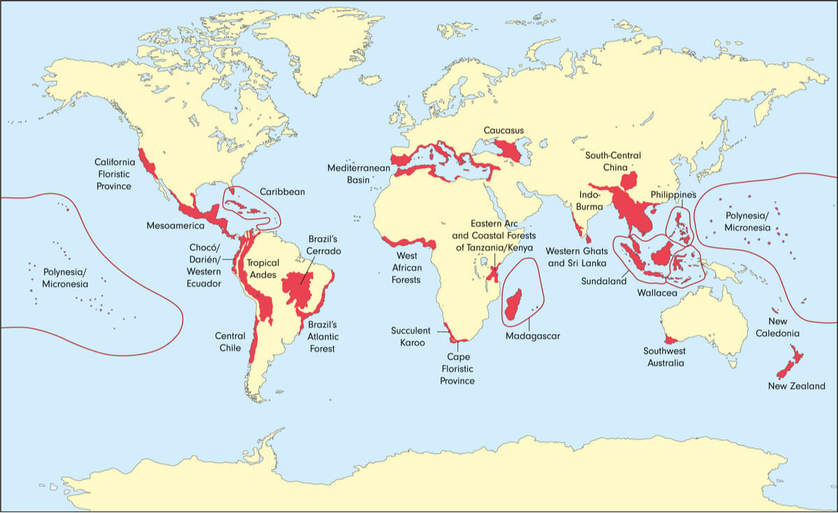 Un mapa mundial con los puntos críticos de biodiversidad.